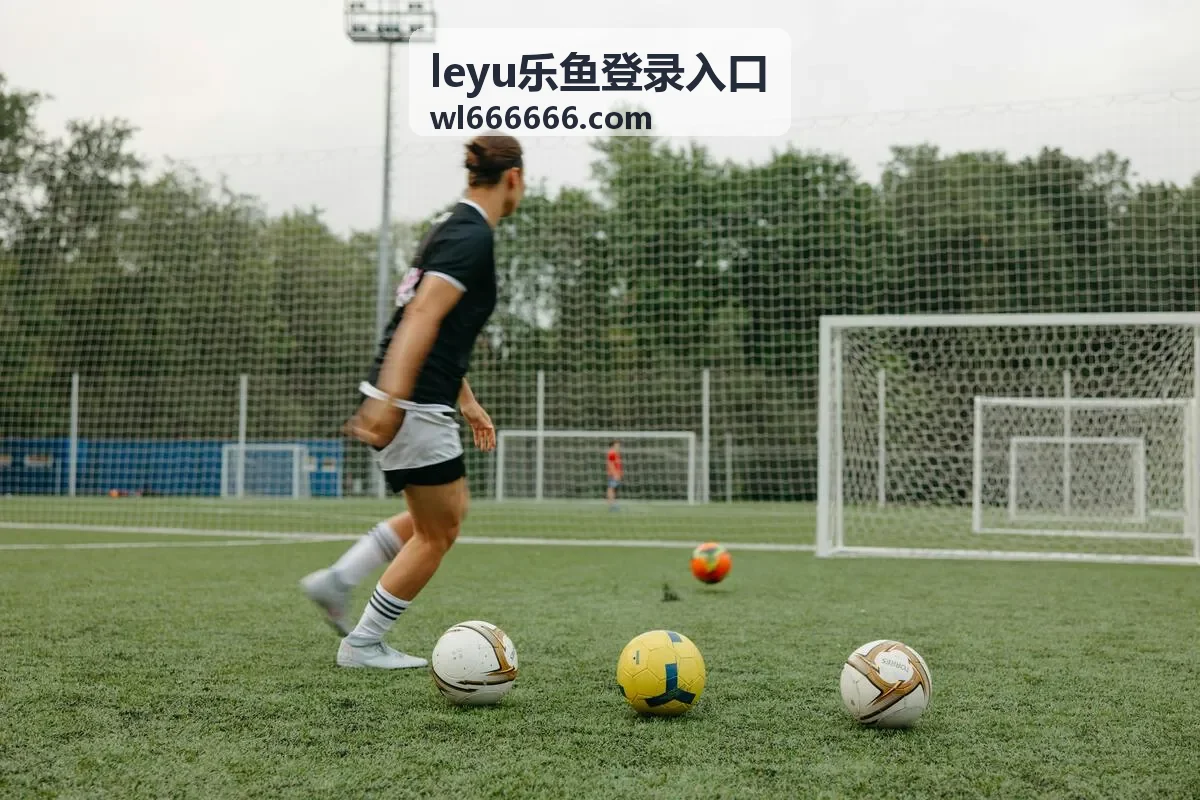 leyu乐鱼登录入口活动现场