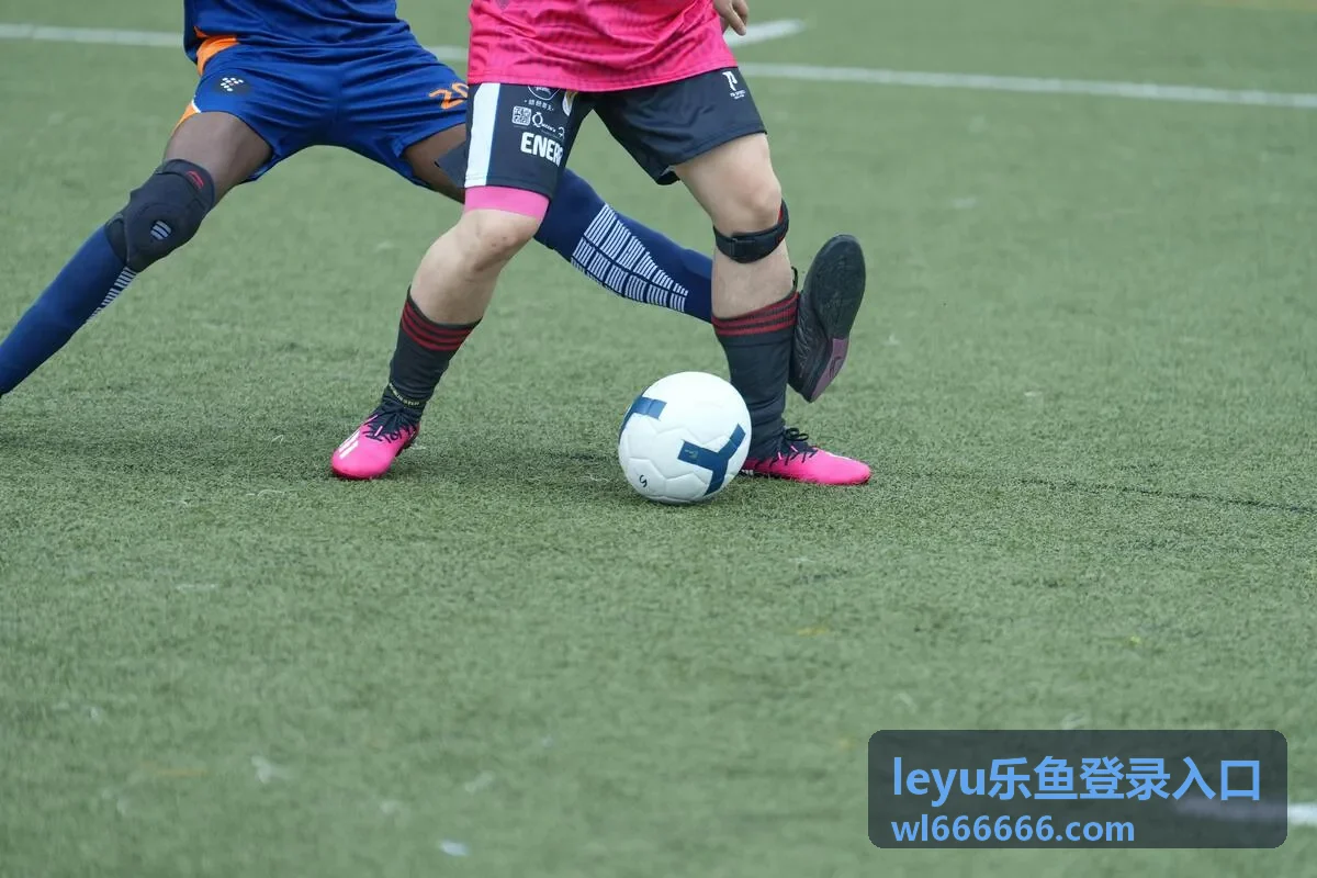 leyu乐鱼登录入口电子凭证与签到