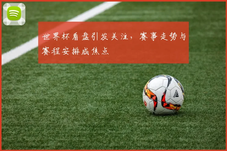世界杯看盘引发关注,赛事走势与赛程安排成焦点