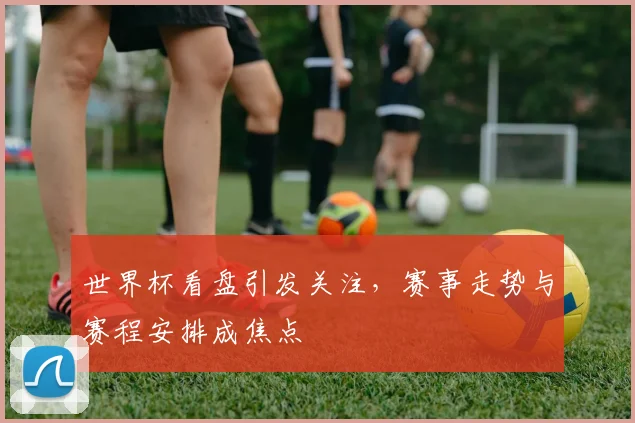 世界杯看盘引发关注,赛事走势与赛程安排成焦点